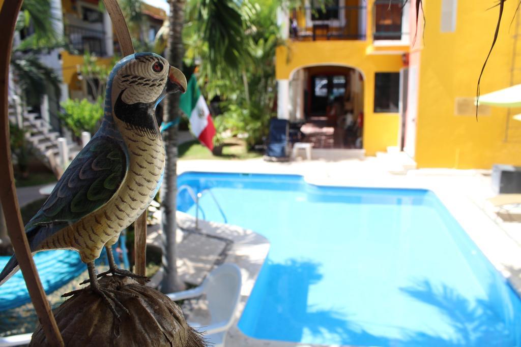 El Acuario Hotel 신데 델 카르멘 외부 사진