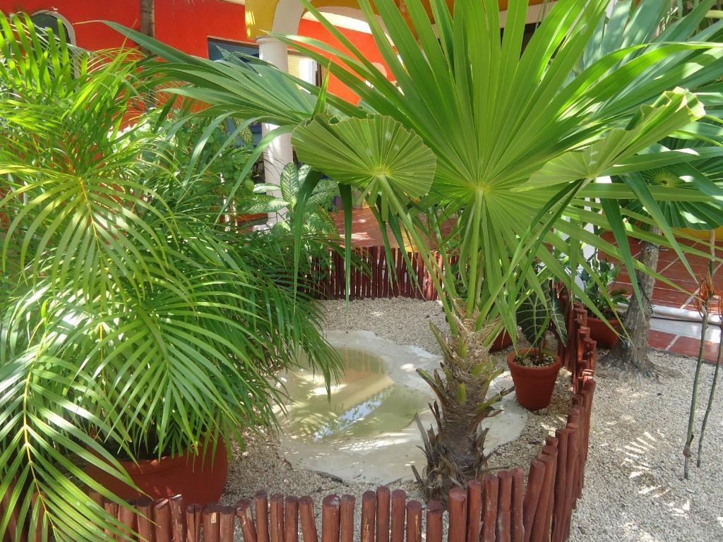 El Acuario Hotel 신데 델 카르멘 외부 사진