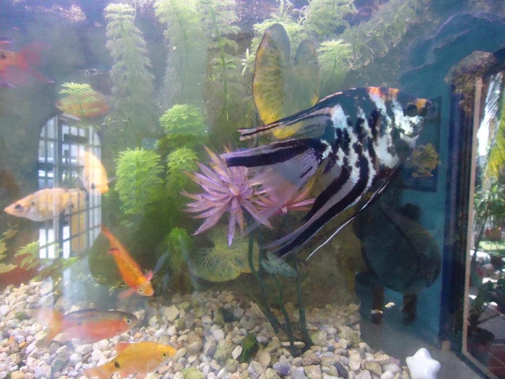 El Acuario Hotel 신데 델 카르멘 외부 사진