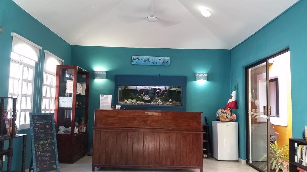 El Acuario Hotel 신데 델 카르멘 외부 사진